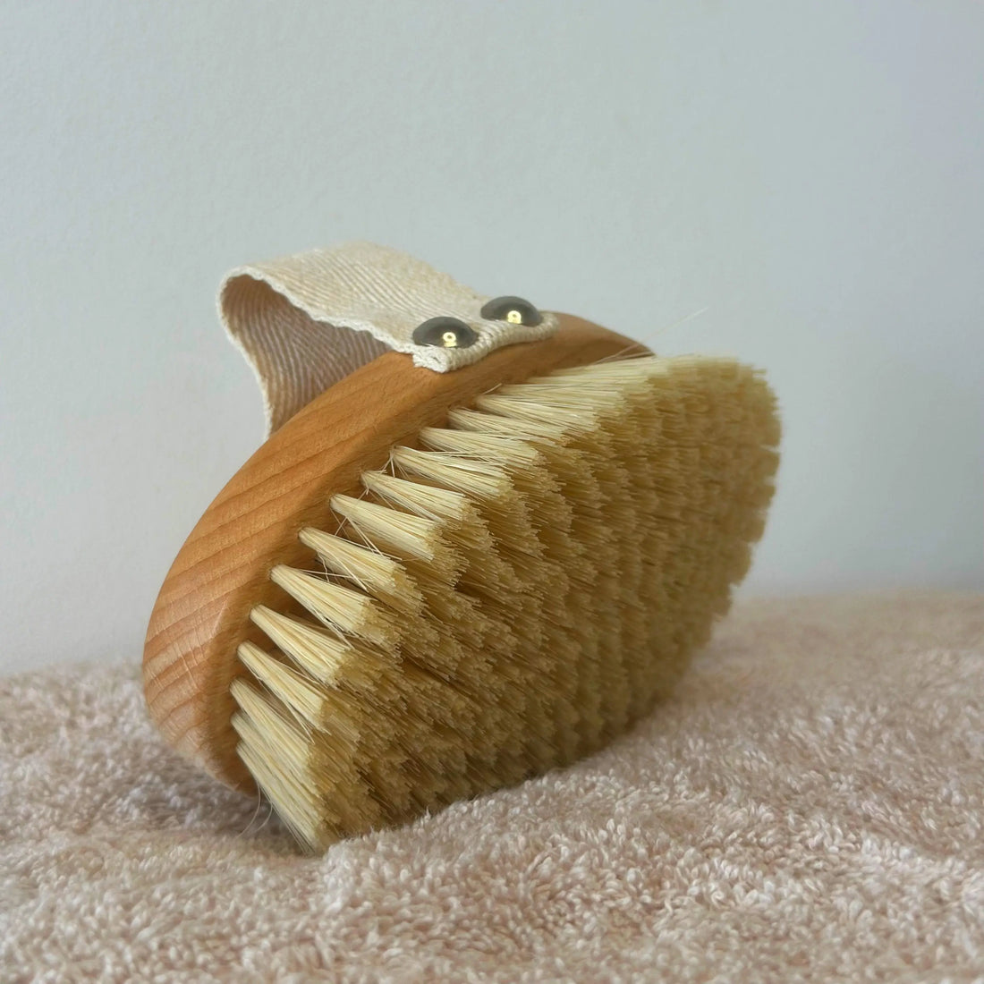 Brosse de brossage à sec