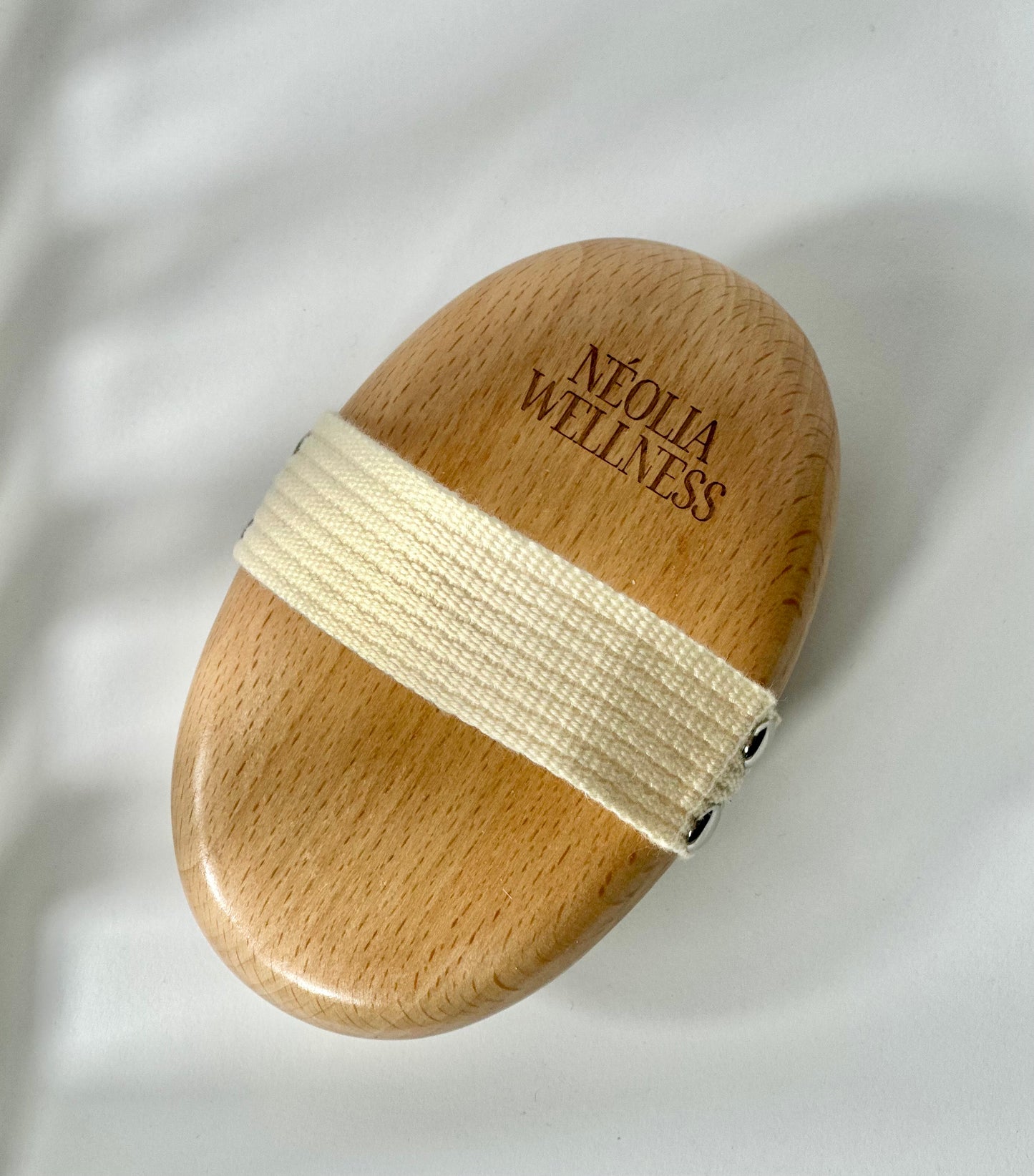 Brosse de brossage à sec