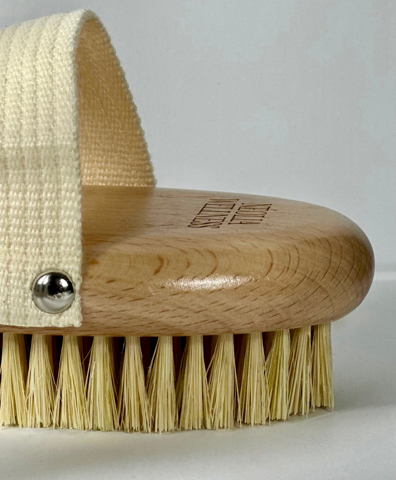 Brosse de brossage à sec
