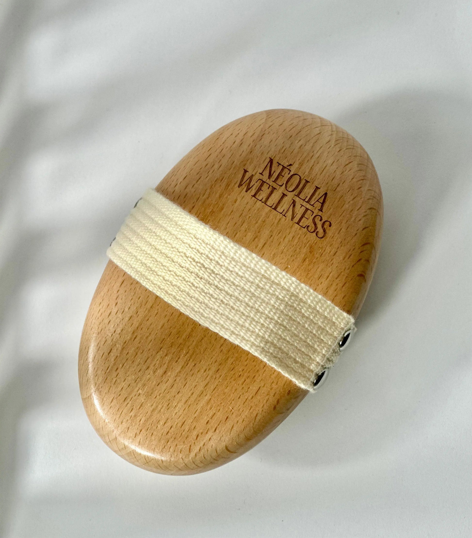 Brosse de brossage à sec Néolia